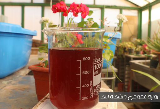 صورة مصغّرة