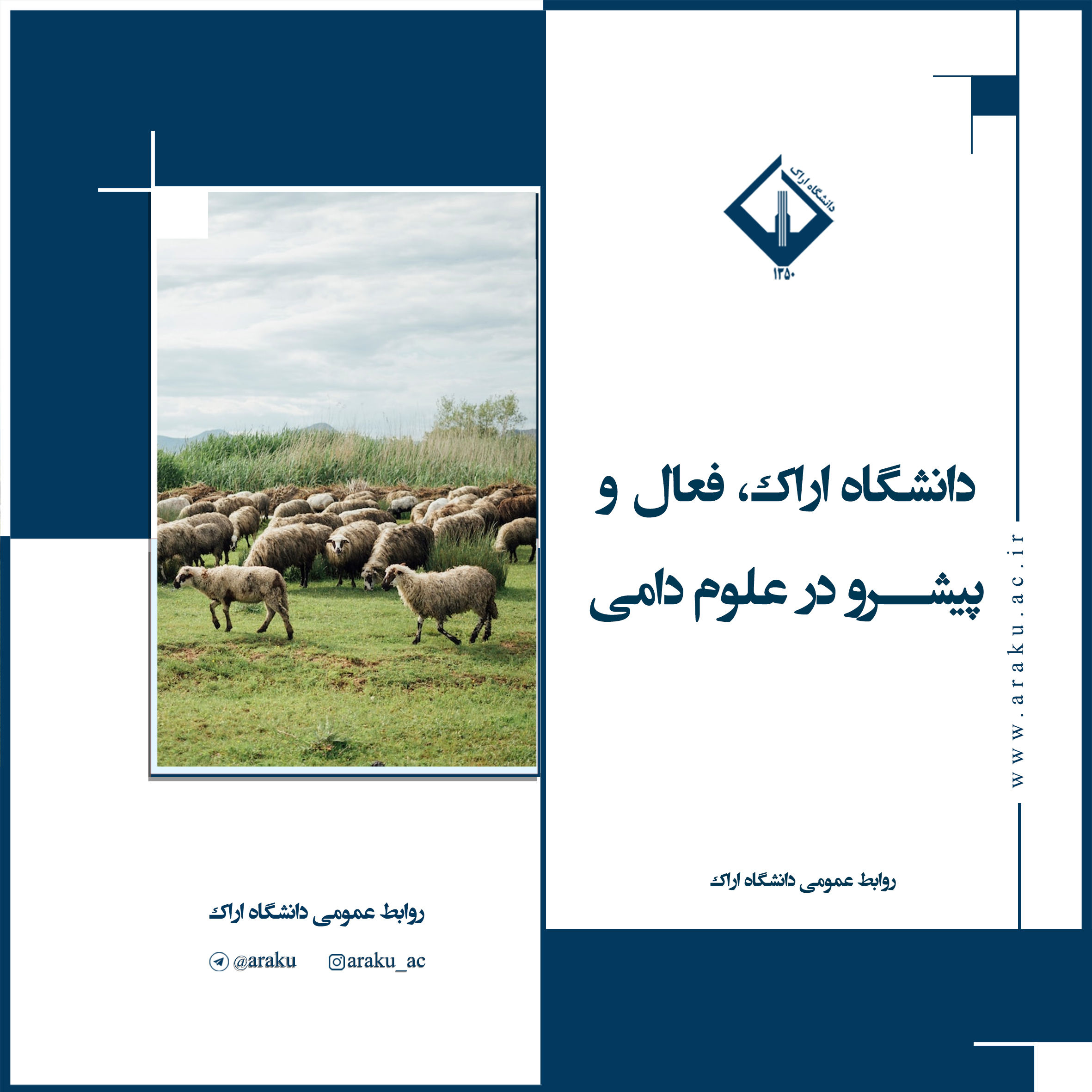 صورة مصغّرة