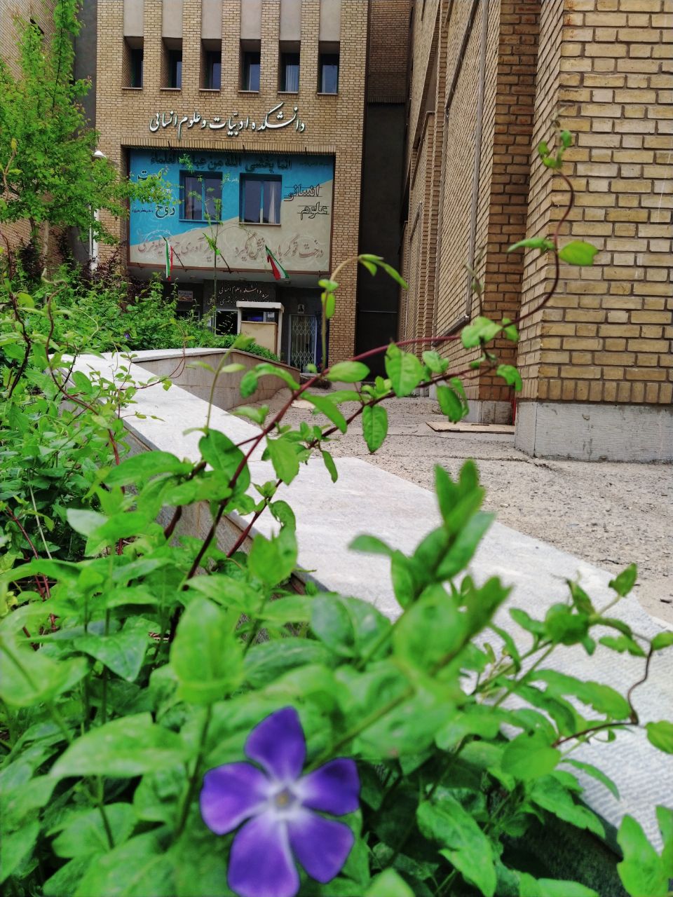 صورة مصغّرة