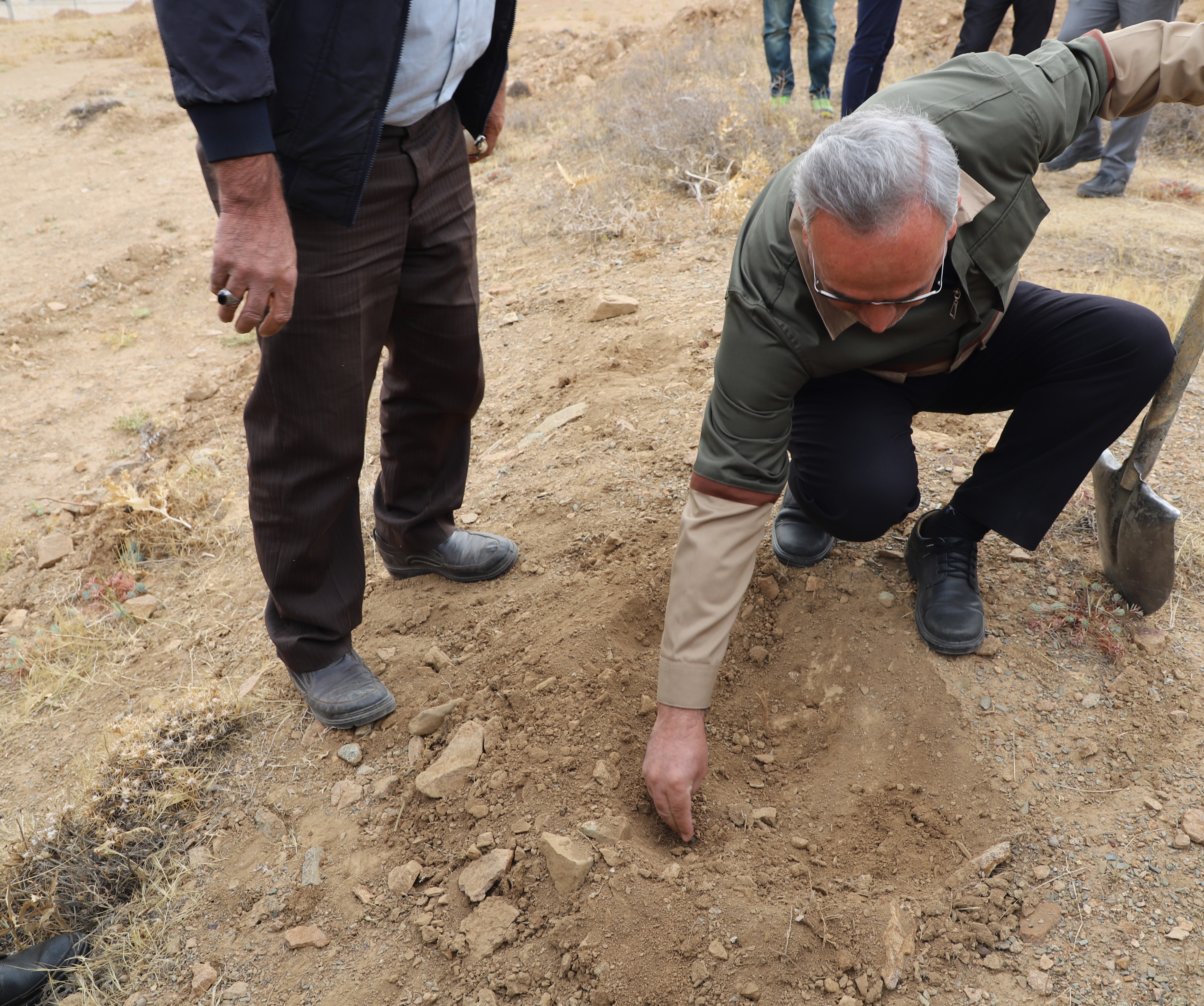 صورة مصغّرة