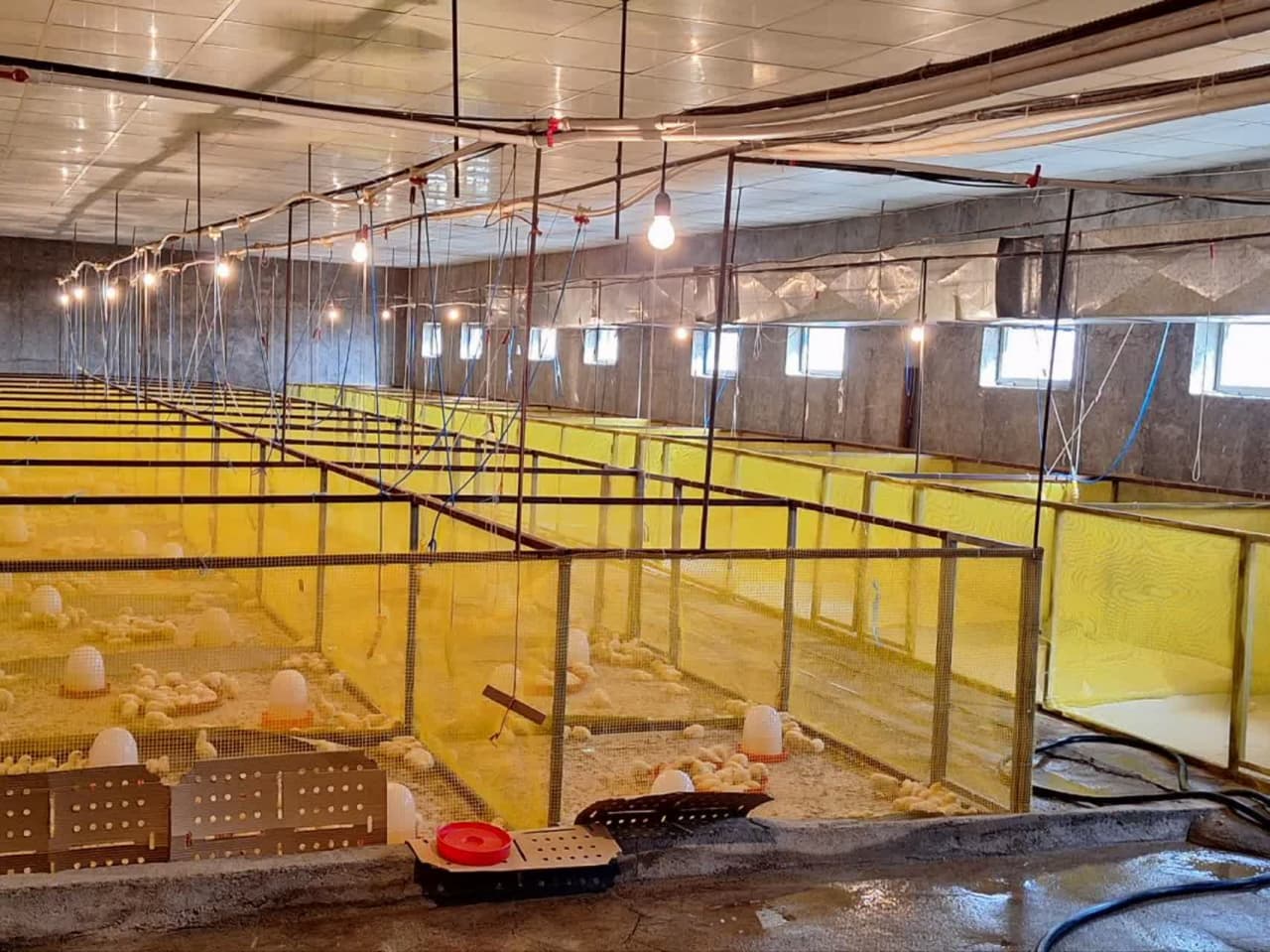 صورة مصغّرة