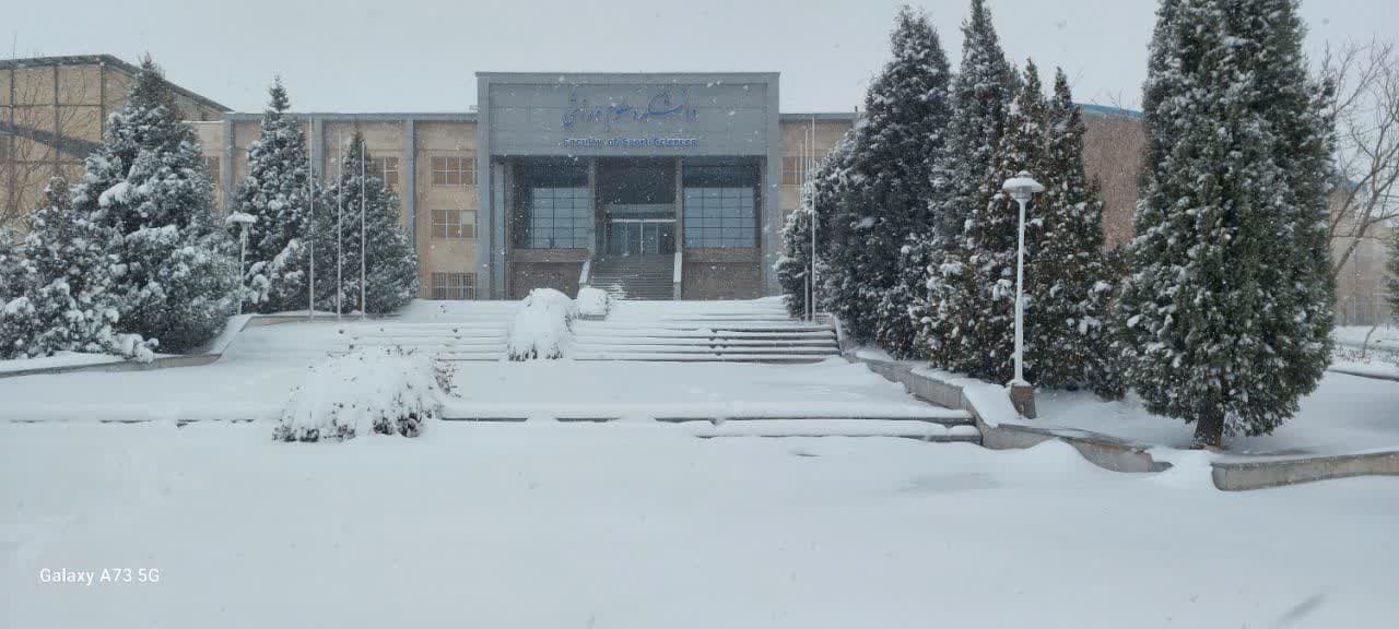 Second Responsive Image